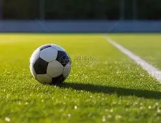 揭秘疑云,苗原揭秘,去年中乙,PA,真人视讯官网,娱乐游戏,APP,下载,PA,Gaming